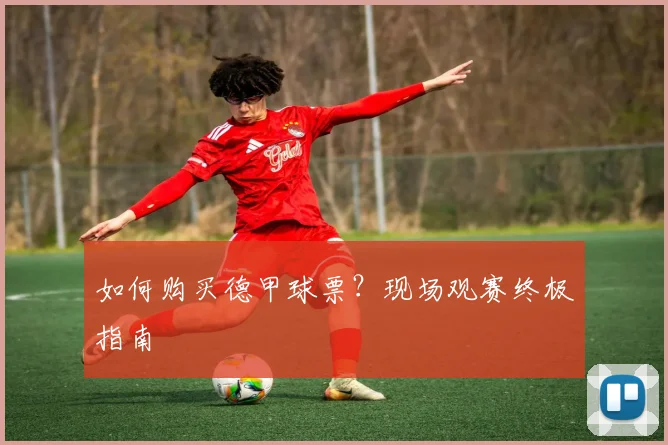 如何购买德甲球票?现场观赛终极指南