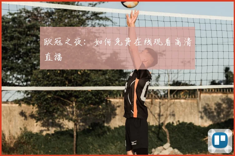 欧冠之夜：如何免费在线观看高清直播