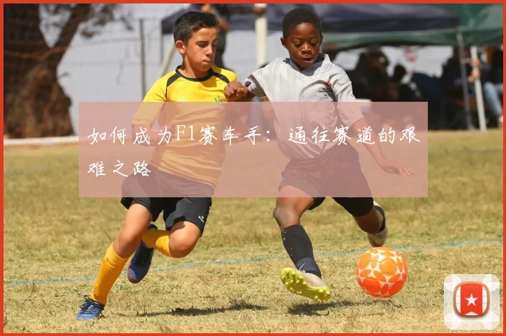如何成为F1赛车手：通往赛道的艰难之路
